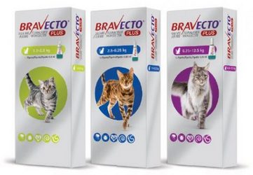 Bravecto Plus αμπουλα γατας πιπετα