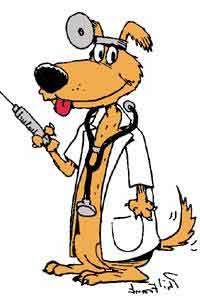 Εμβολιασμοι σκυλου - σε κουταβι