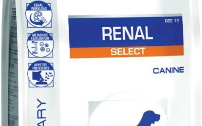 RCR1 ROYAL CANIN RENAL SELECT ΚΛΙΝΙΚΗ ΔΙΑΙΤΑ ΓΙΑ ΝΕΦΡΙΚΗ ΑΝΕΠΑΡΚΕΙΑ ΓΙΑ ΣΚΥΛΟΥΣ